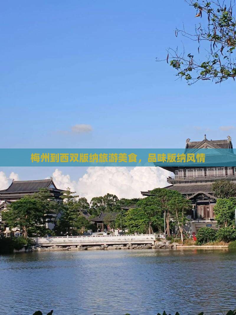 梅州到云南西双版纳旅游小吃
