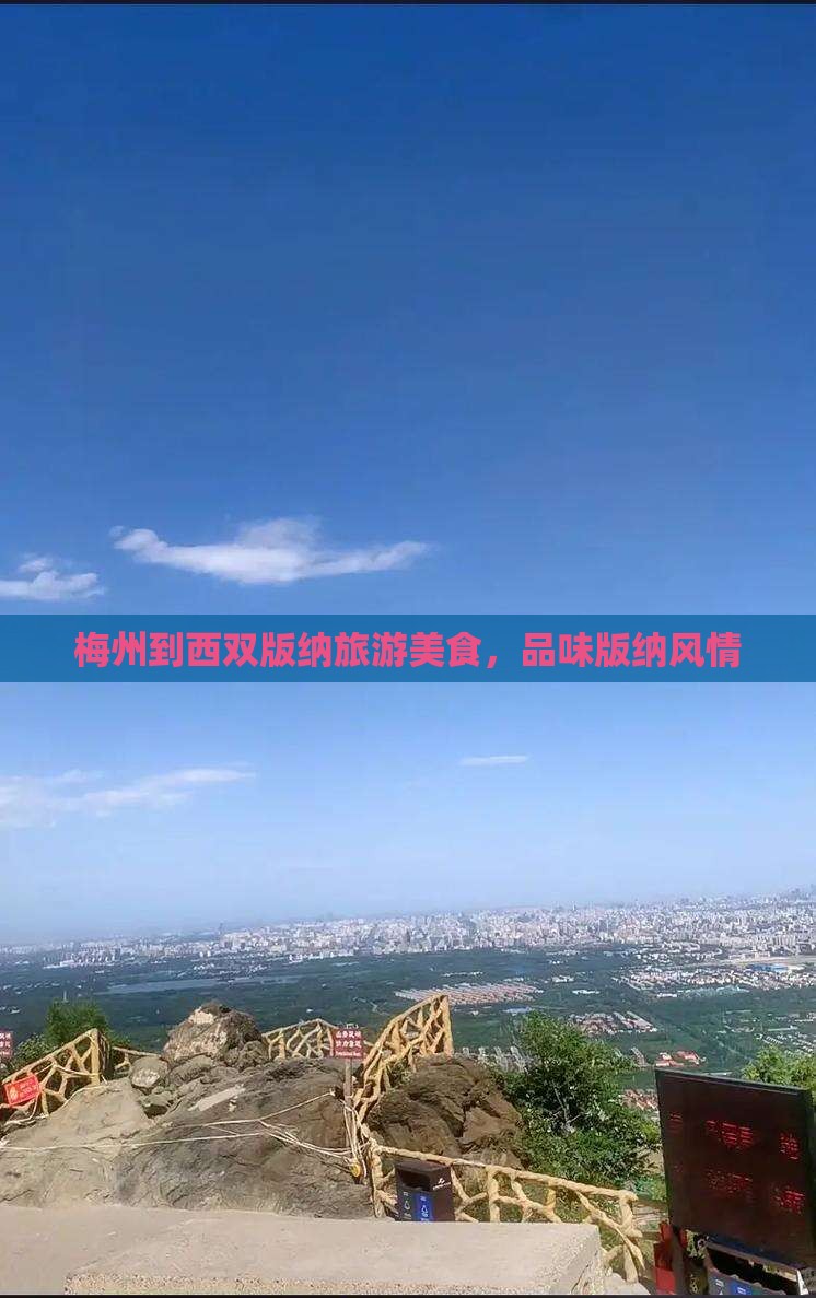 梅州到云南西双版纳旅游小吃