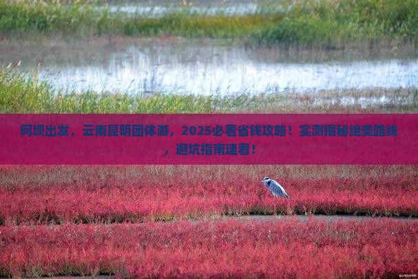阿坝到云南昆明团体旅游