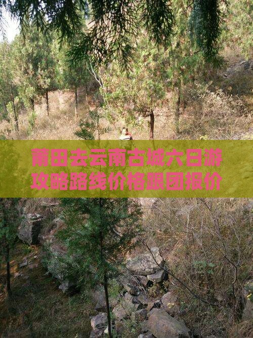 莆田去云南古城六日游