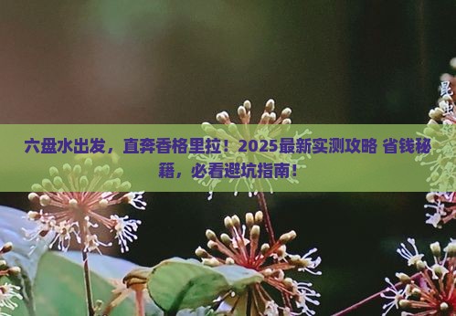 六盘水去云南香格里拉旅游