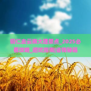 铜仁去云南大理景点 铜仁去云南大理景点