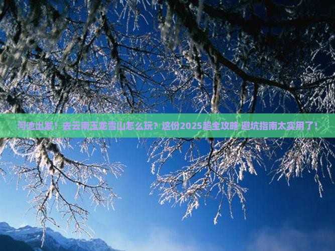 河池到云南玉龙雪山团体旅游