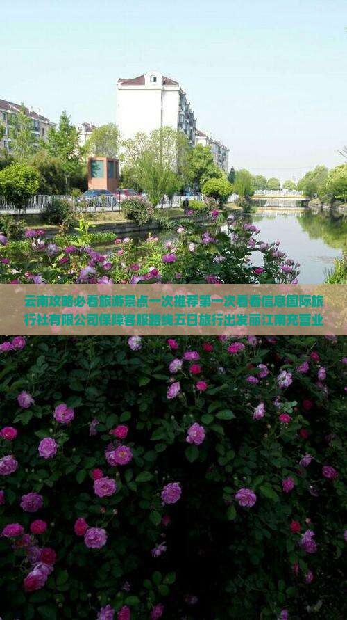 南充到云南五日游