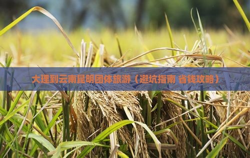 大理到云南昆明团体旅游