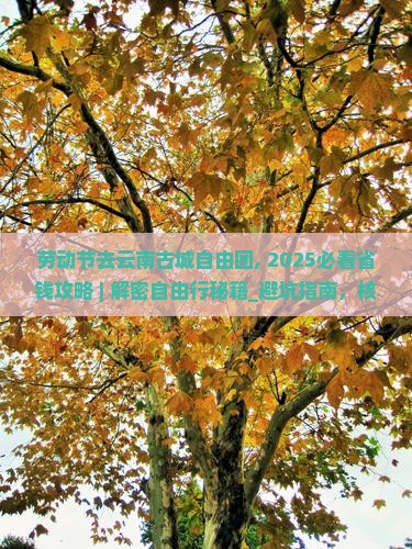 劳动节去云南古城自由团