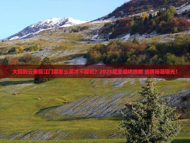 大同到云南丽江门票