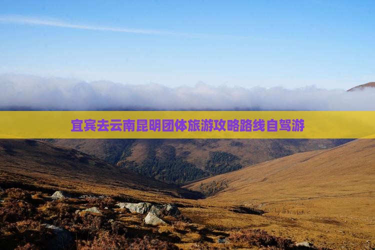 宜宾去云南昆明团体旅游