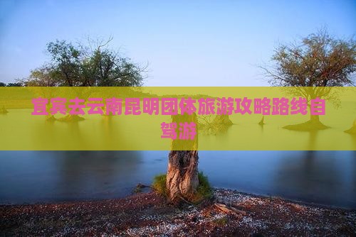 宜宾去云南昆明团体旅游