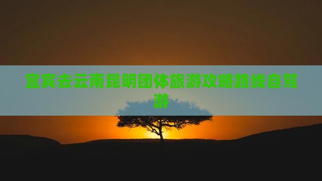 宜宾去云南昆明团体旅游