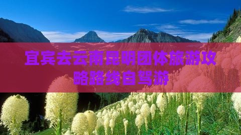 宜宾去云南昆明团体旅游