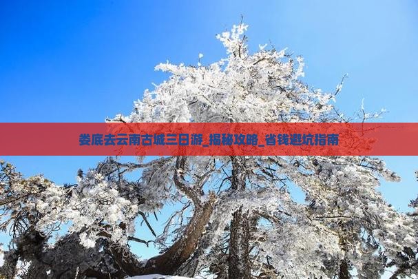 娄底去云南古城三日游
