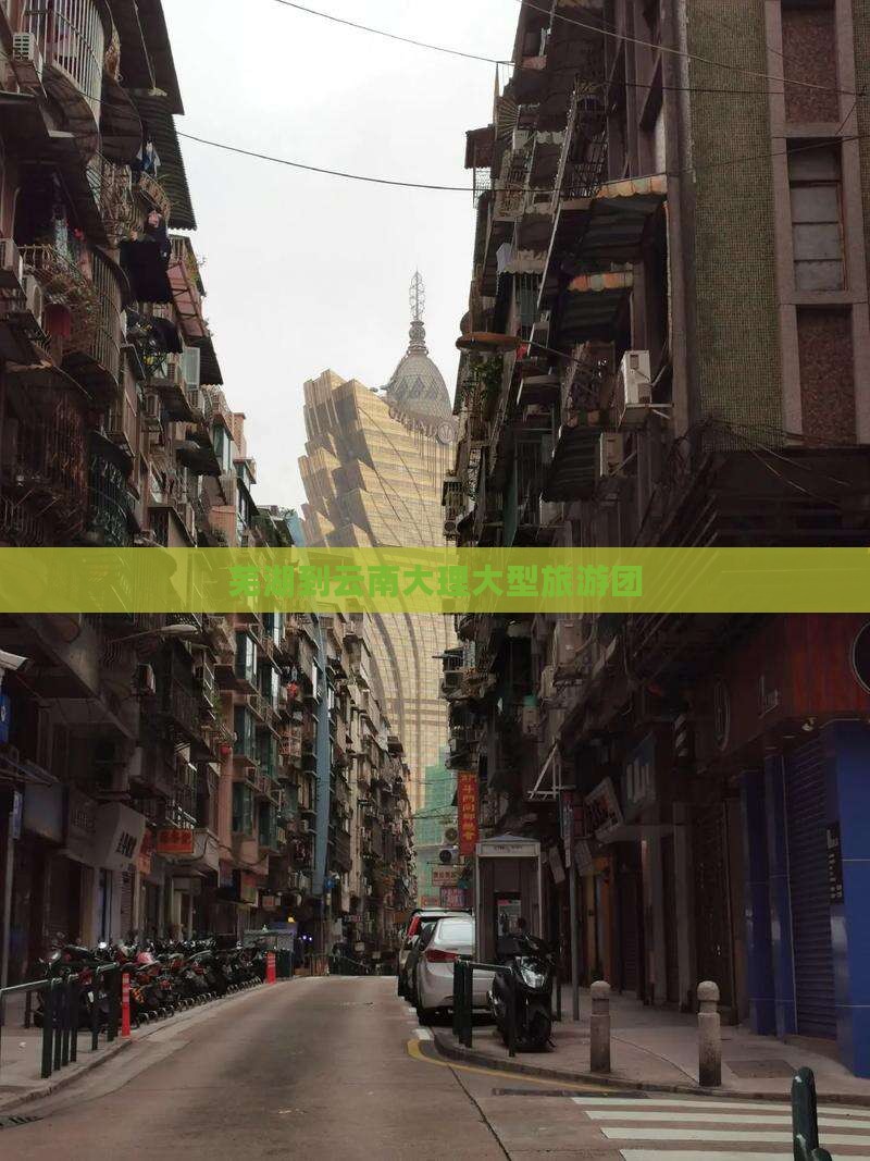 芜湖到云南大理大型旅游团