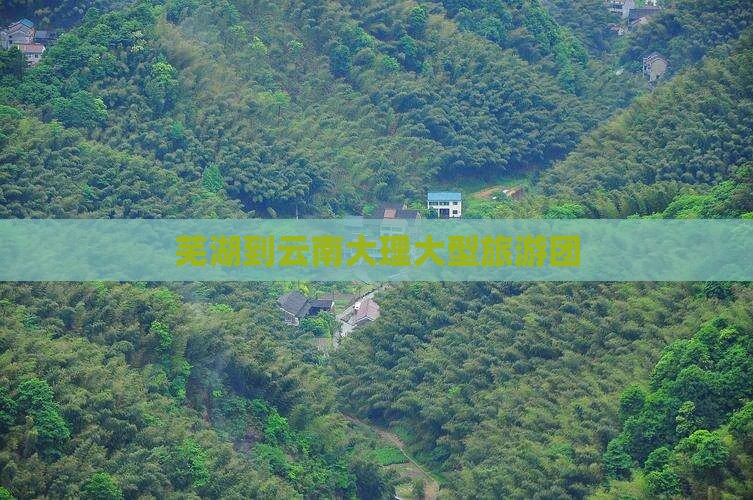 芜湖到云南大理大型旅游团