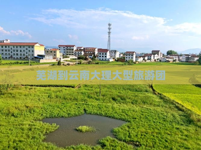 芜湖到云南大理大型旅游团