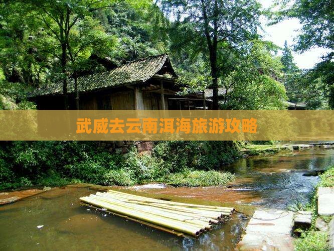 武威去云南洱海门票