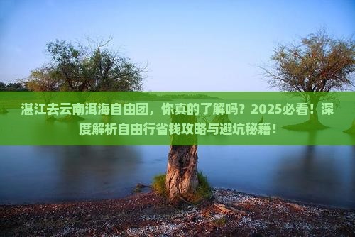 湛江去云南洱海自由团