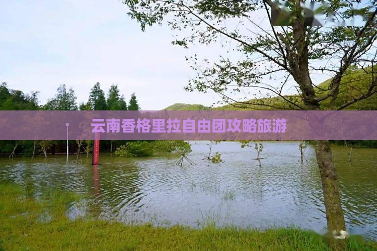 清徐到云南香格里拉自由团