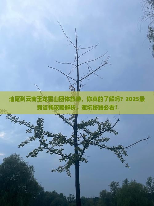 汕尾到云南玉龙雪山团体旅游