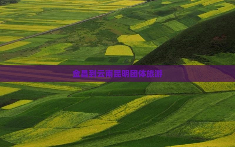 金昌到云南昆明团体旅游