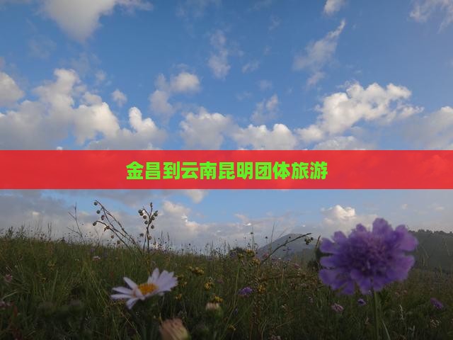 金昌到云南昆明团体旅游