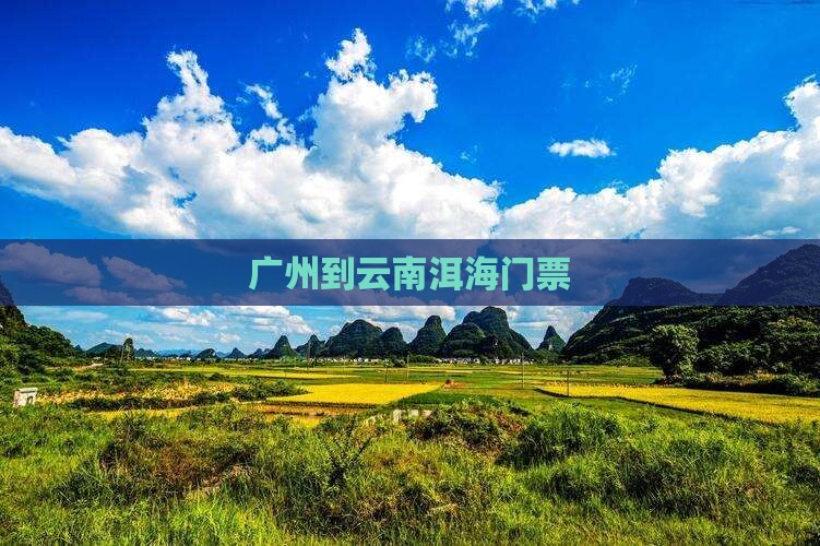 广州到云南洱海门票