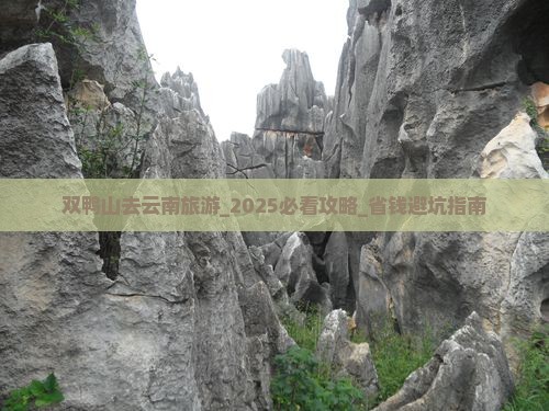 双鸭山去云南旅游