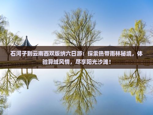 石河子到云南西双版纳六日游
