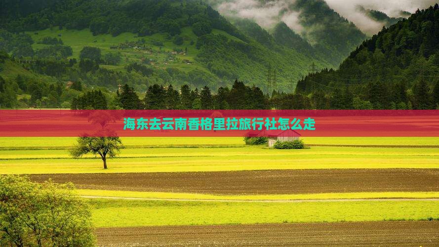 海东去云南香格里拉旅行社 海东去云南香格里拉旅行社