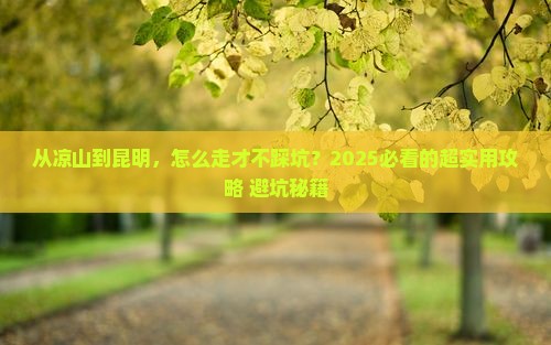 凉山去云南昆明攻略