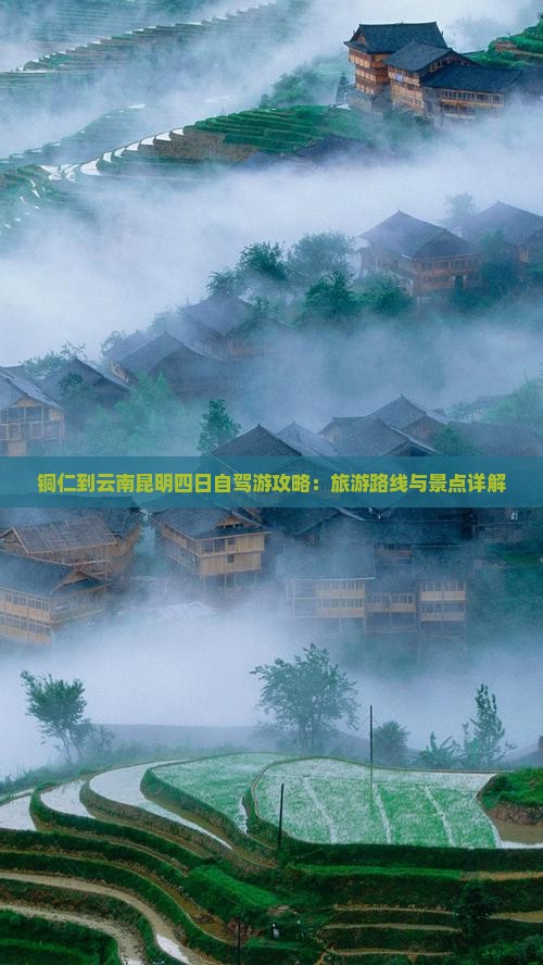 铜仁到云南昆明四日游