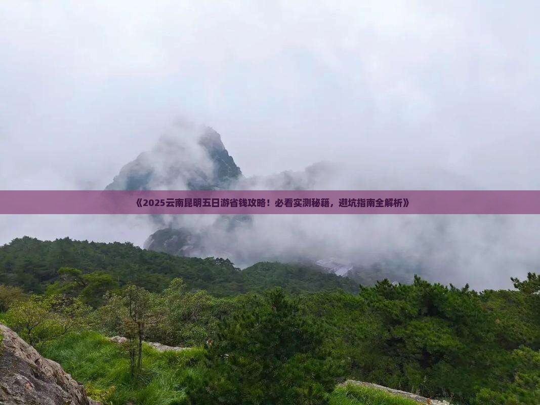 沧州去云南昆明五日游