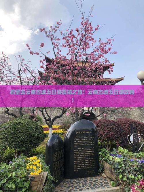 鹤壁去云南古城五日游 鹤壁去云南古城五日游