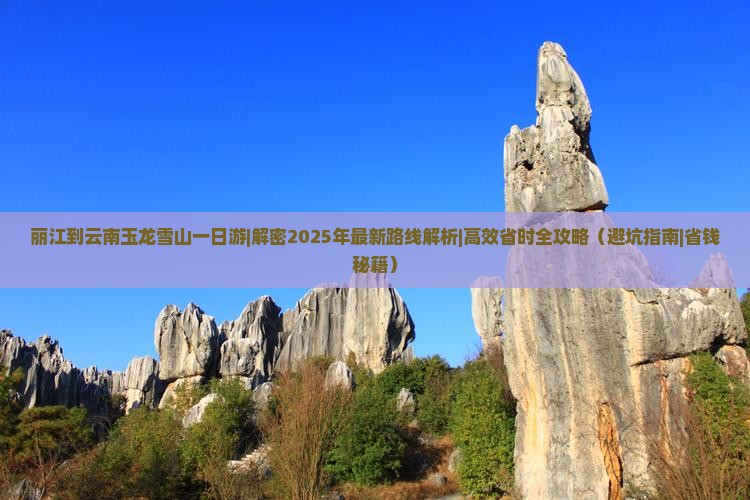 丽江到云南玉龙雪山一日