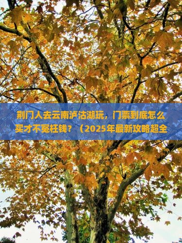 荆门去云南泸沽湖门票 荆门去云南泸沽湖门票