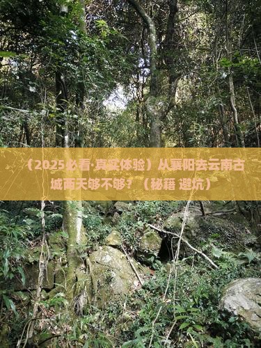 襄阳到云南古城二日游 襄阳到云南古城二日游