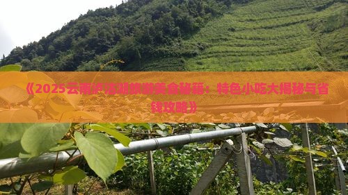 无锡到云南泸沽湖旅游小吃