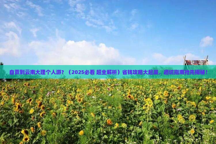 自贡到云南大理个人游 自贡到云南大理个人游