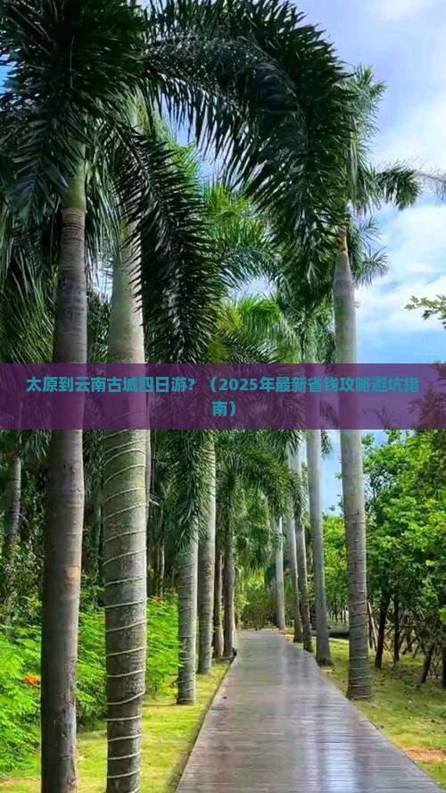 太原到云南古城四日游