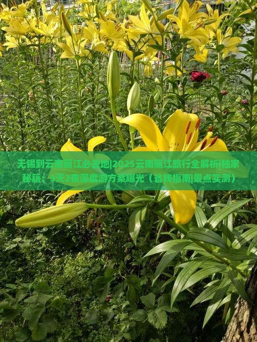 无锡到云南丽江必去地