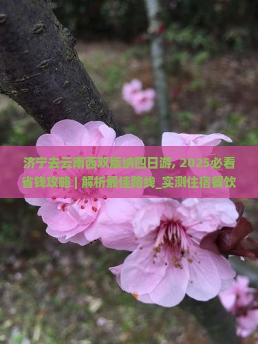济宁去云南西双版纳四日游