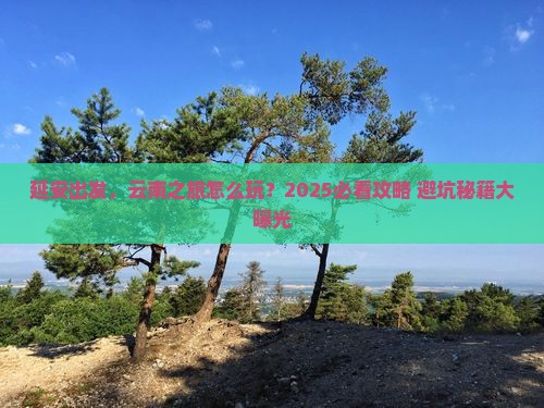 延安到云南大型旅游团