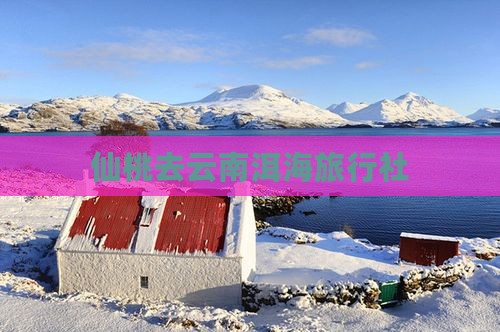 仙桃去云南洱海旅行社