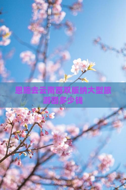 恩施去云南西双版纳大型旅游团