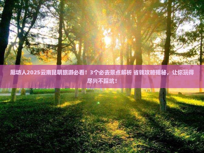 廊坊去云南昆明哪里玩