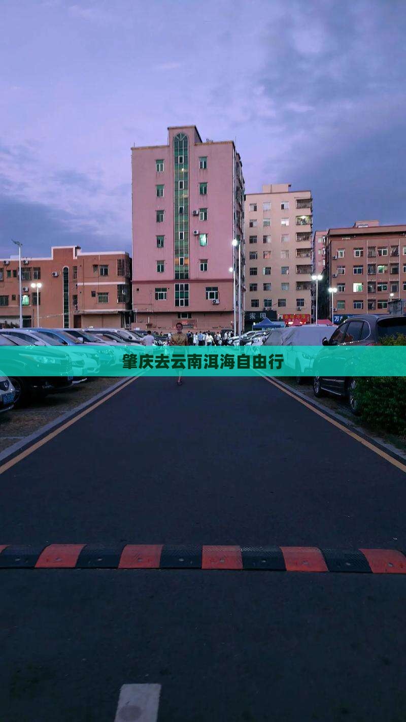 肇庆去云南洱海自由行