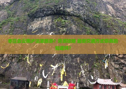 枣庄去云南泸沽湖旅游