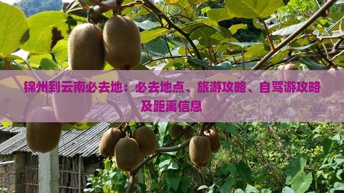 锦州到云南必去地