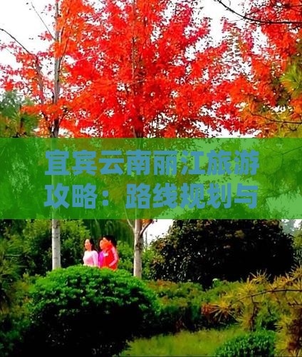 宜宾去云南丽江自由行