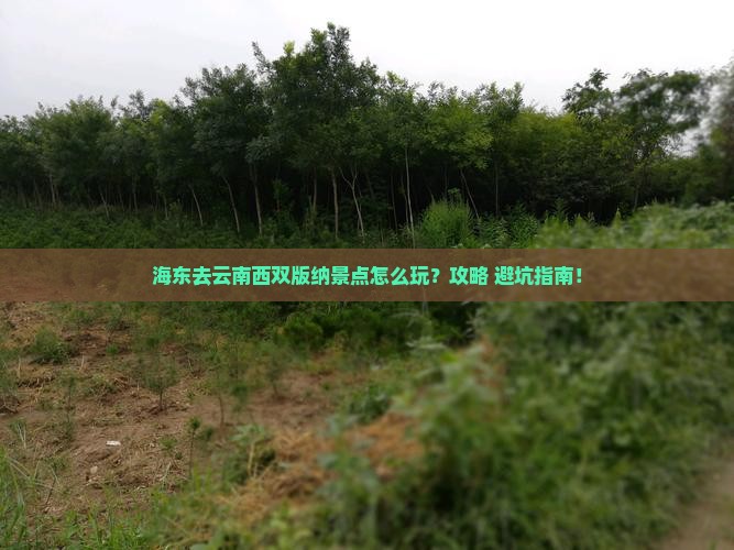 海东去云南西双版纳景点 海东去云南西双版纳景点